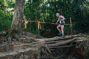 BIB: 
                            <button type="button" onclick="openModal(27754505)" class="btn btn-primary btn-sm float-right btn-popup" data-toggle="modal" data-target=".modal-high-quality">
                        <i class="fas fa-shopping-cart"></i> Add to Cart
                    </button>
                                            <button type="button" onclick="isThisMe(27754505, true)" class="btn btn-success btn-sm float-right btn-popup btn-isme hidden" data-toggle="tooltip" data-placement="bottom" title="นี่คือรูปของคุณใช่ไหม คลิกที่นี่เพื่อเอาเข้าอัลบั้ม">
                        <i class="fas fa-plus"></i> Add to album
                    </button>
                    <button type="button" onclick="isThisMe(27754505, false)" class="btn btn-warning btn-sm float-right btn-popup btn-isnotme hidden">
                        <i class="fas fa-ban"></i> Remove from album
                    </button>